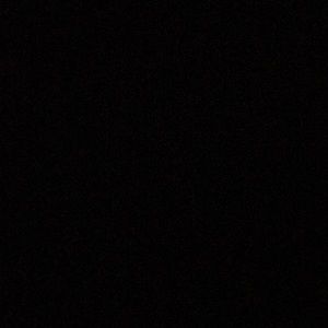 Meet your Posher, Willie